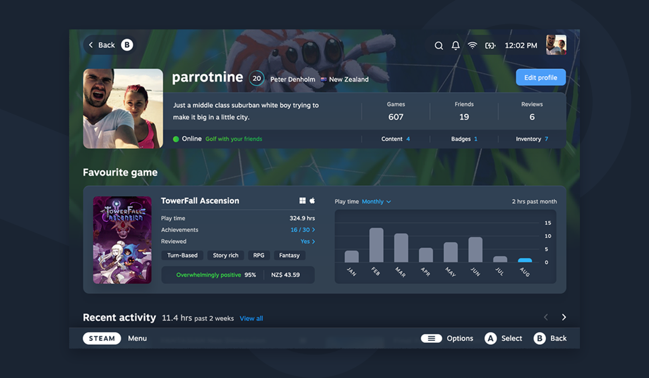Steam profile after the redesign, with a compact profile summary above a favourite-game card showing achievements and a monthly play-time chart.